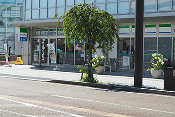 A convenience store will be on your right. Continue walking straight ahead.