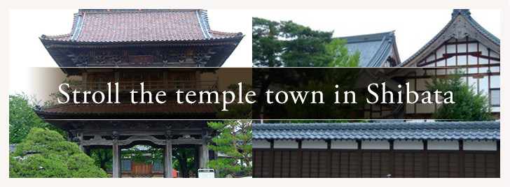 Stroll the temple town in Shibata