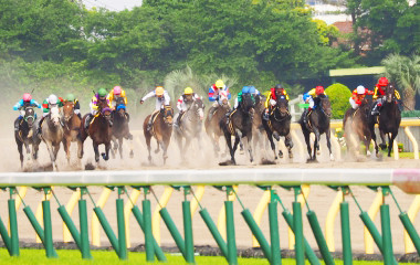 競馬を満喫